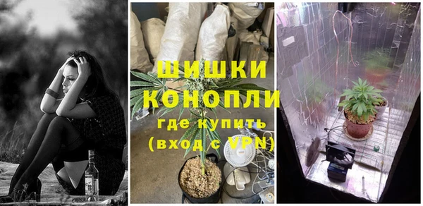 МДПВ Бугульма