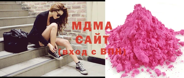 индика Богородицк