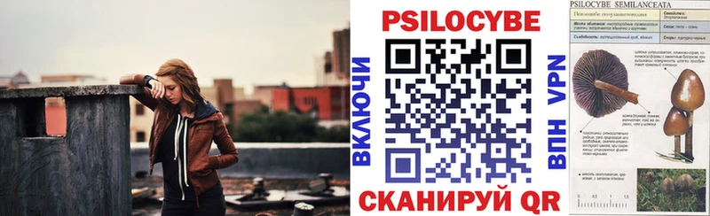 ОМГ ОМГ ONION  Грязи  Псилоцибиновые грибы Psilocybine cubensis  купить закладку 